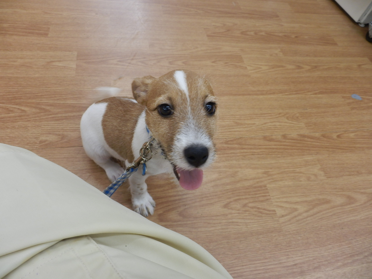 お散歩してみました！！