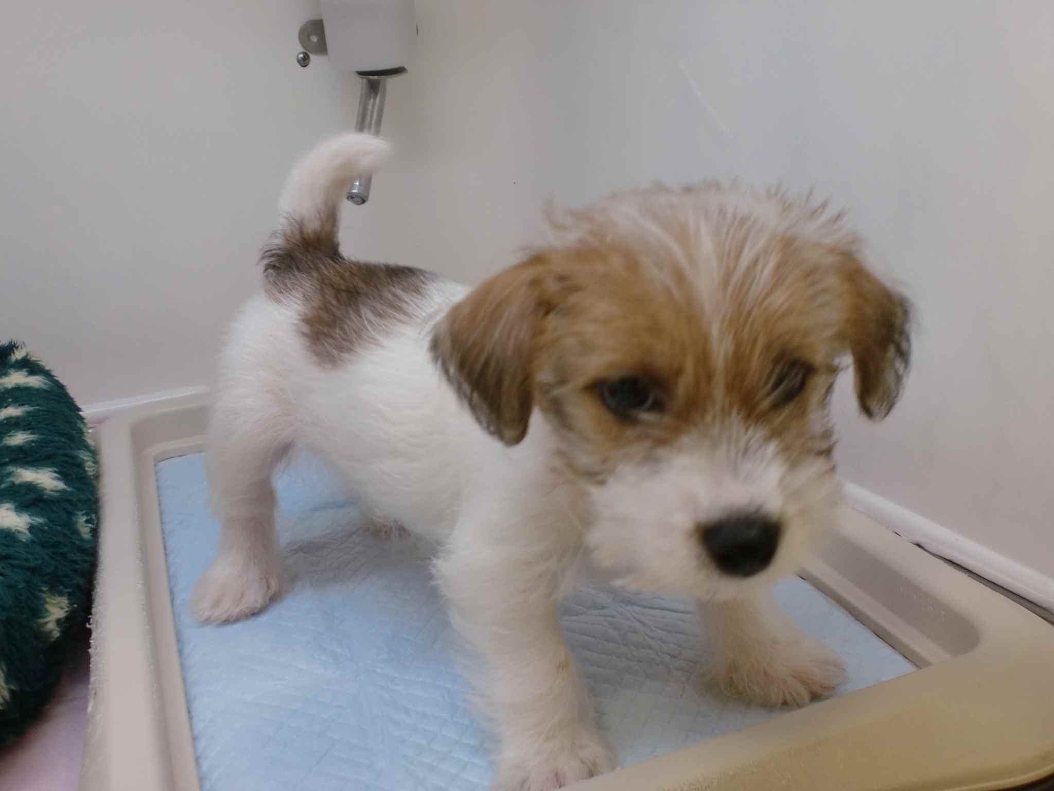 ☆おしゃれジャっくん☆