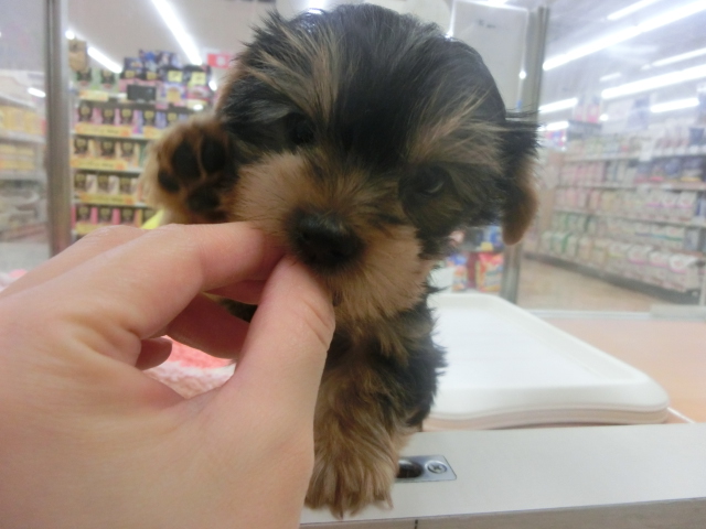 ～新入りさんご紹介～