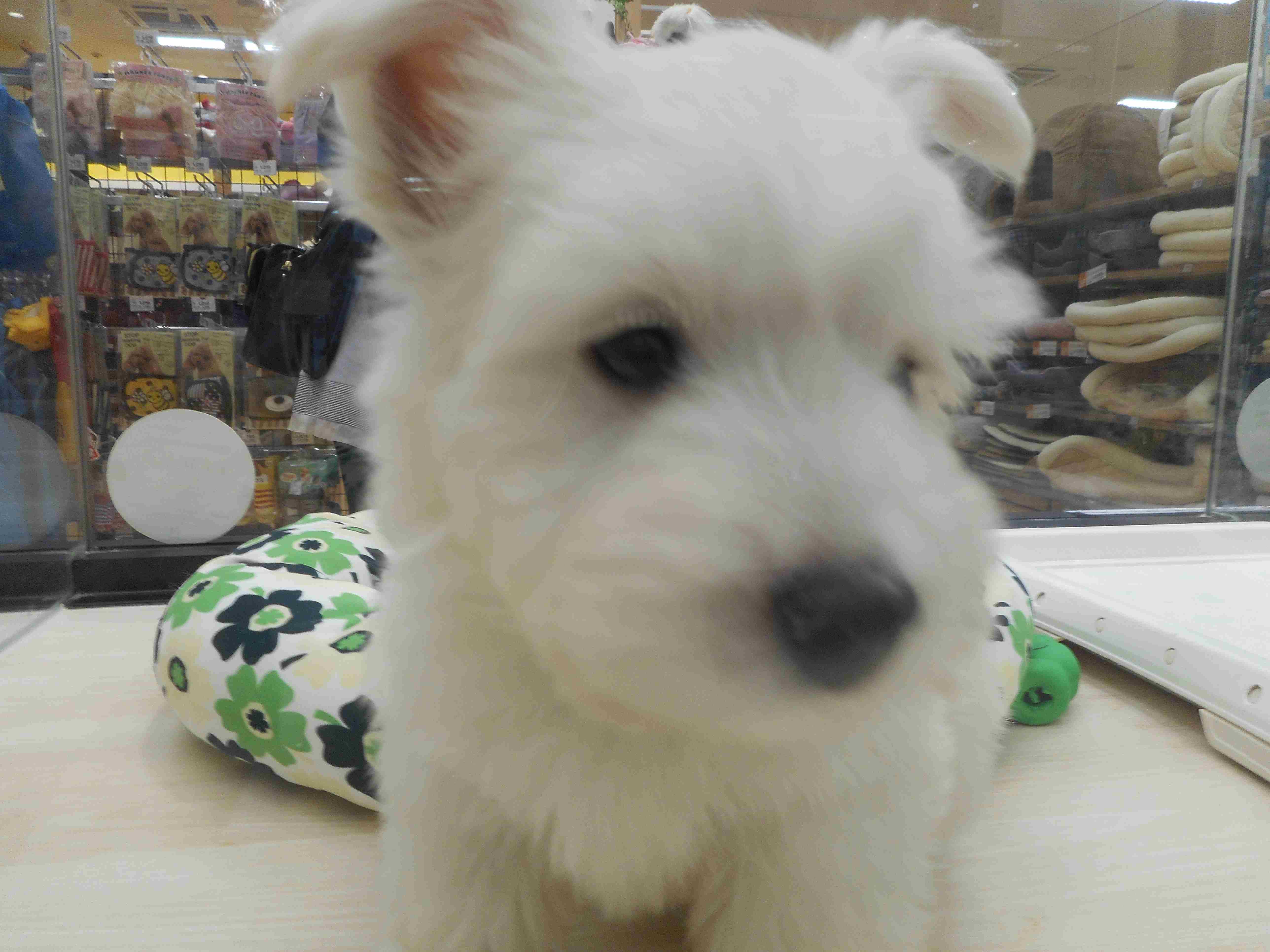 出張から帰ってきましたぁぁ♪☆“