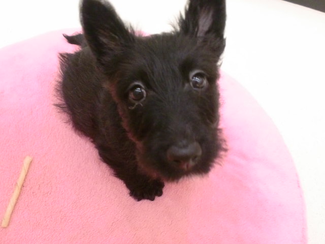 ☆次はあたちっ！！☆