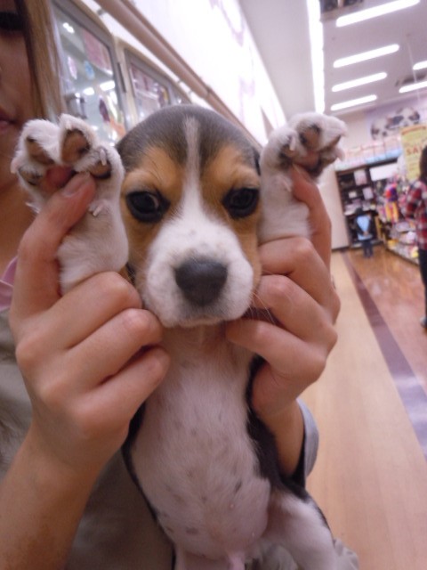 元気いっぱいBOY☆