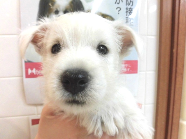 元気マンテン！！