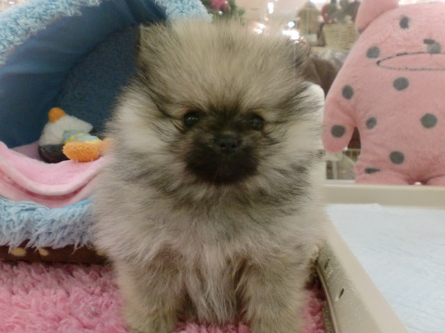 ☆バトンターッチ☆