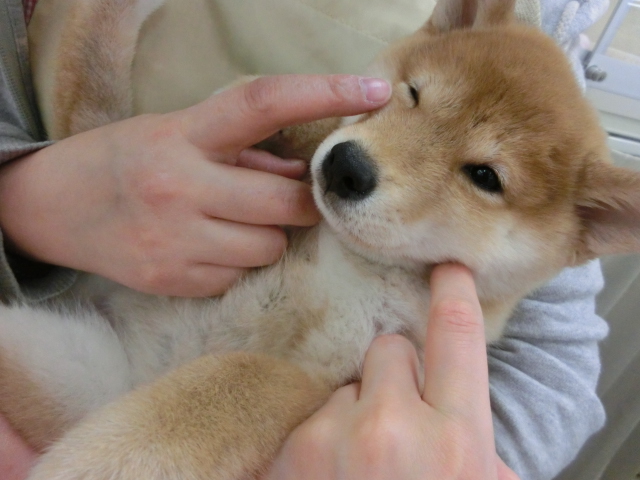 しーちゃん写真集～♡