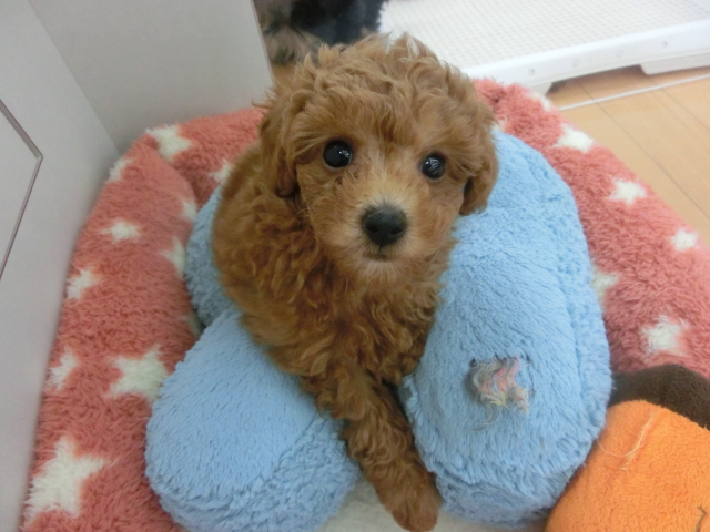 ☆２周年祭、無事に終了いたしました☆