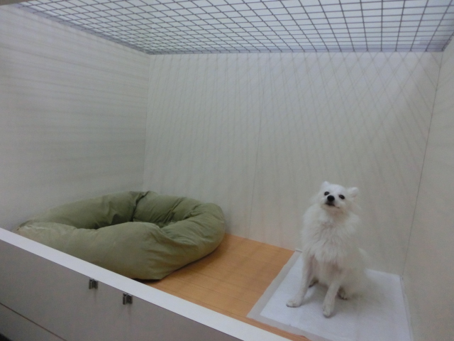 ♪ホテルのご案内♪