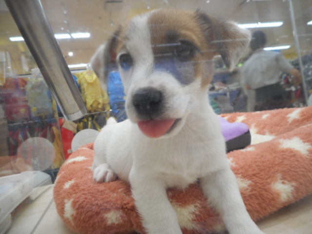 ☆★今日も元気いっぱいです★☆