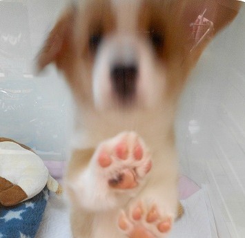 ★アクティブこーちゃん！★