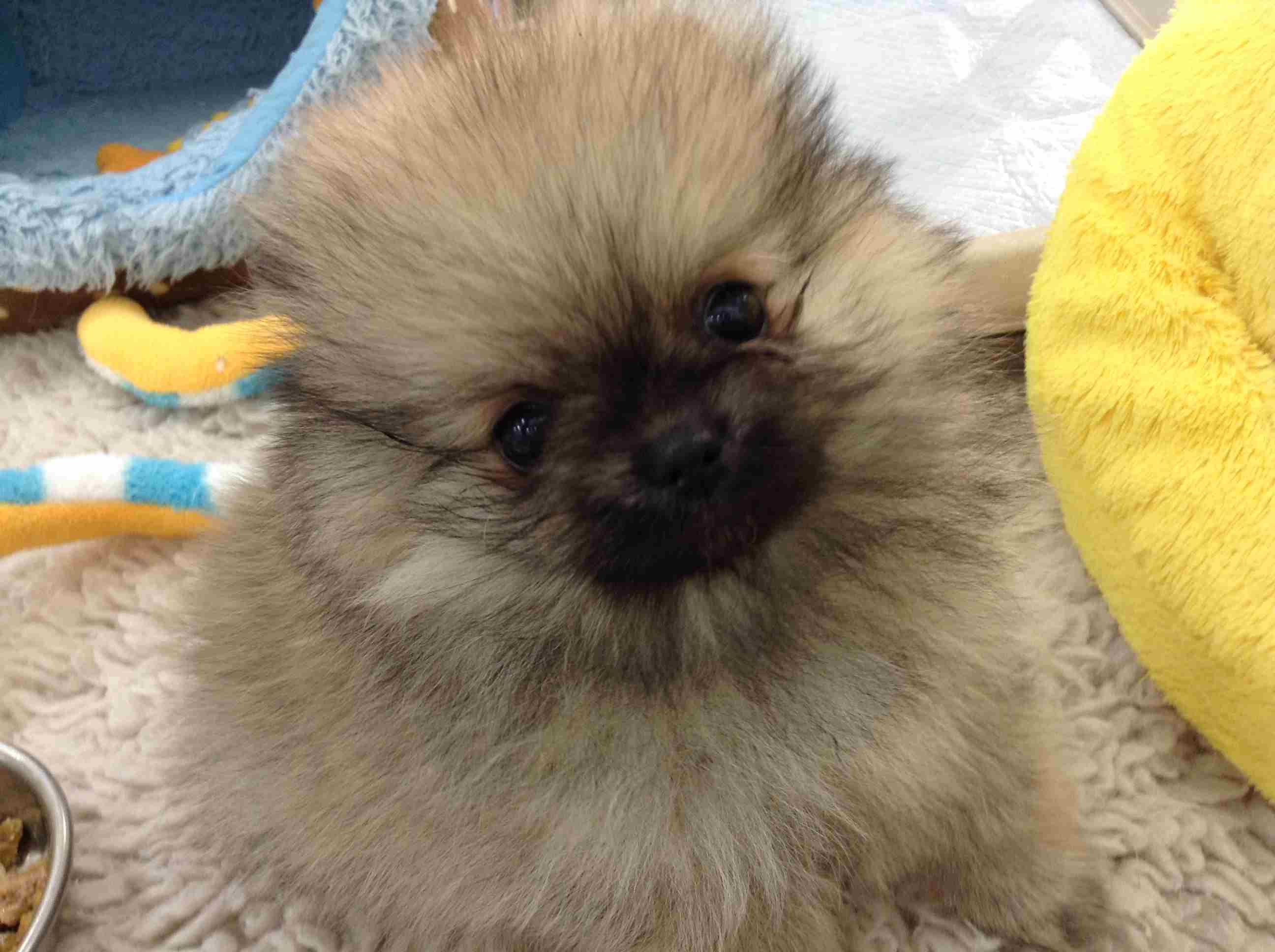 ☆お家が決まりました☆