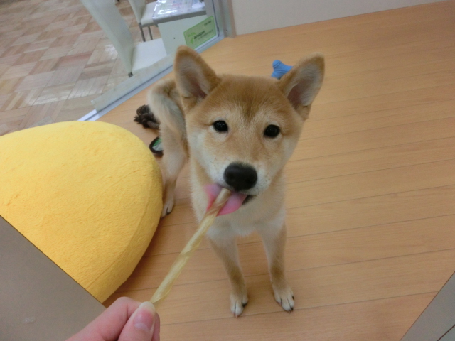 大好きなおやつ♪