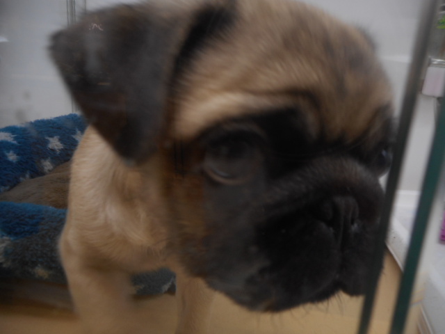 家族が決まりました(o^▽^o)/