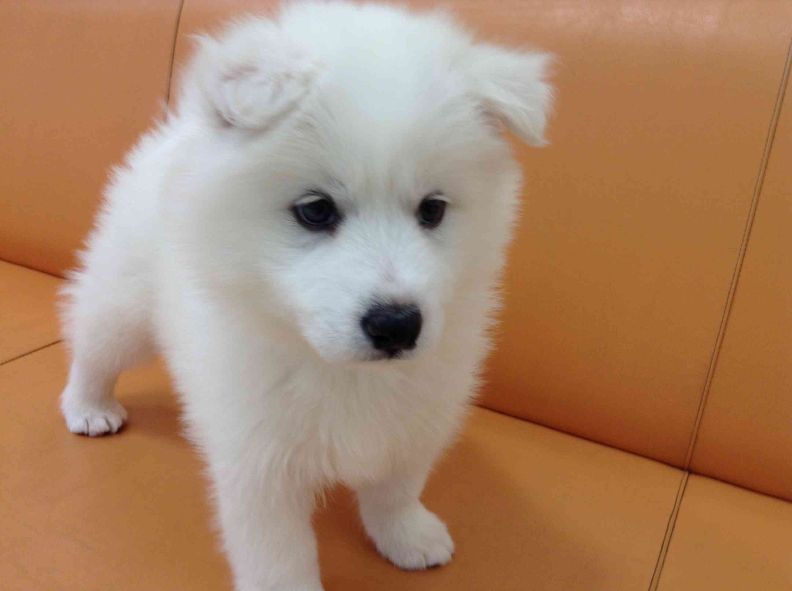 ☆次はあたちっ☆