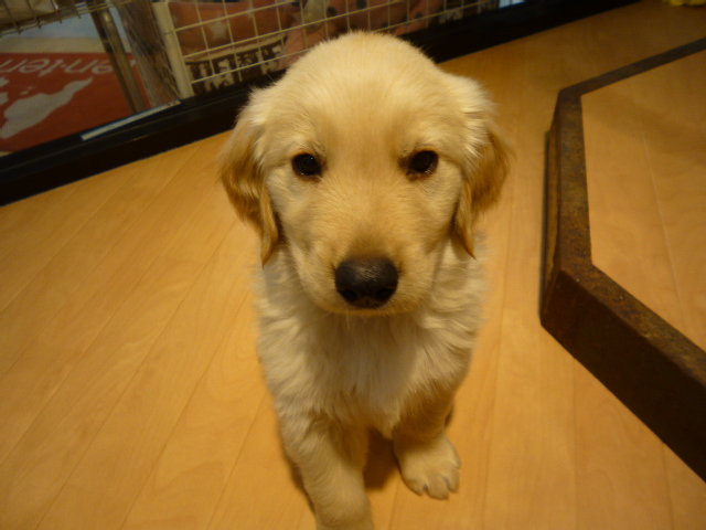 ☆ごっちからご報告☆