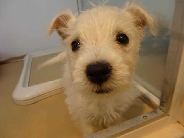 ☆オモチャ大好き～！！☆