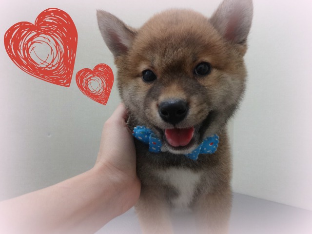 ☆　シャンプーしました！　☆