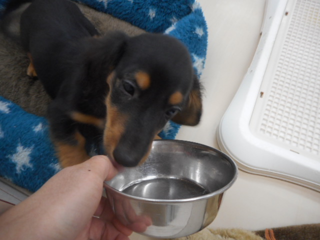 ☆すくすくお豆ちゃん☆