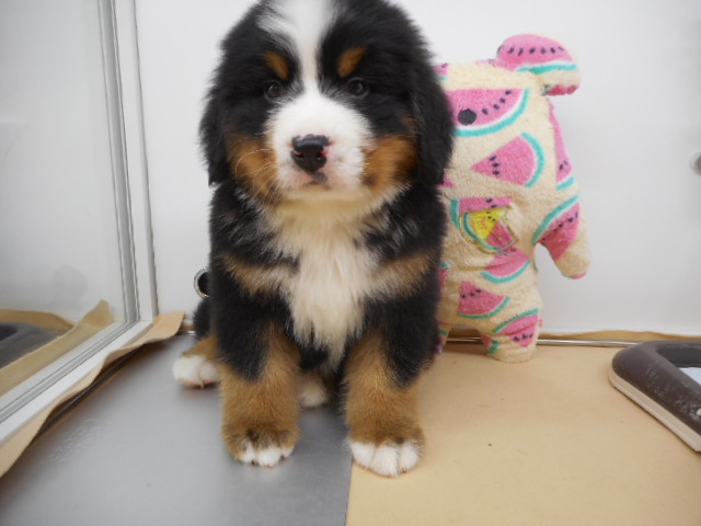 お引越ししました・・・！