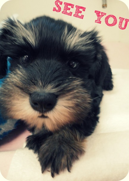 ★おうちが決まりました～♪★