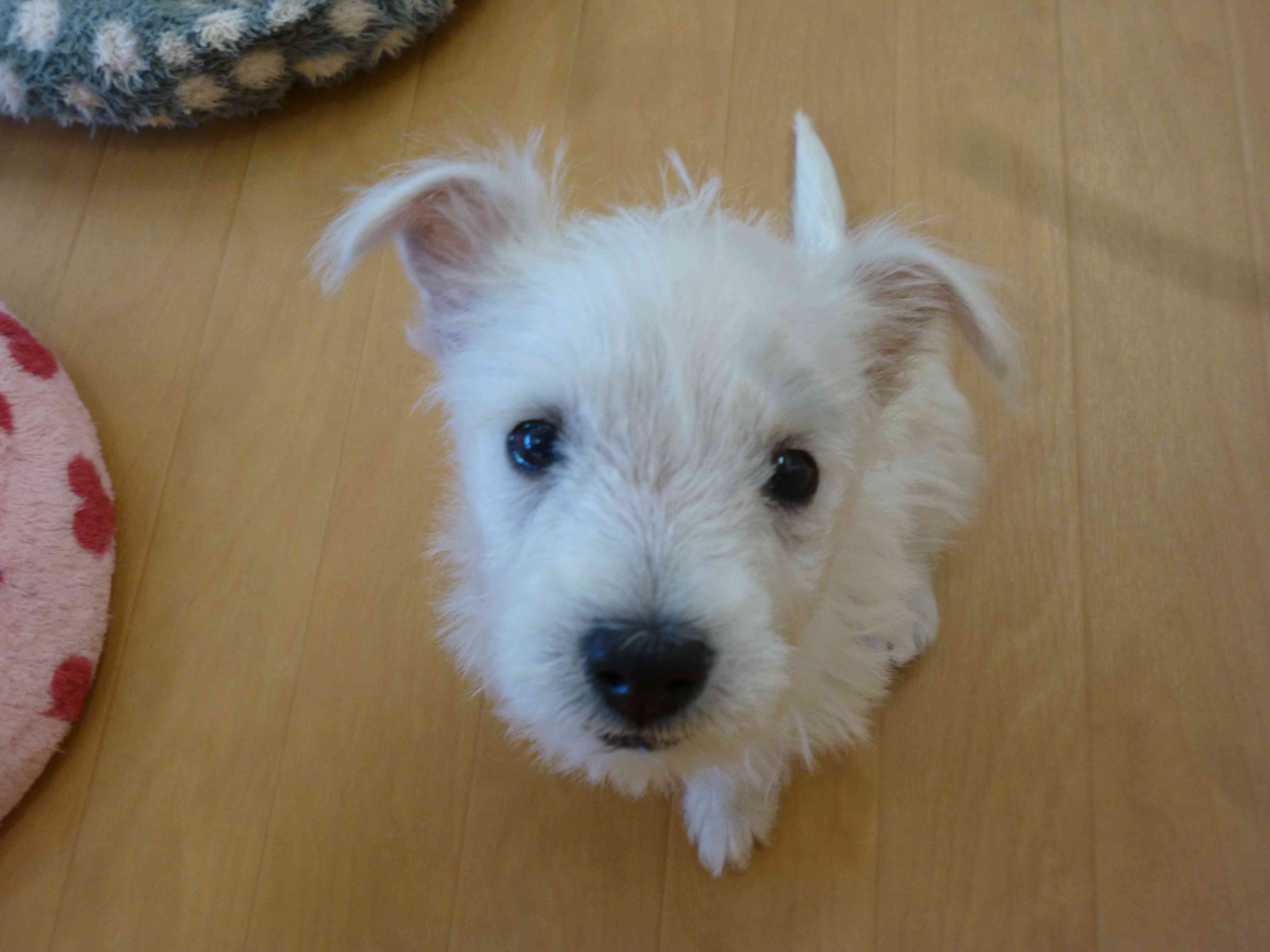 ☆プレイルームデビュー！！☆