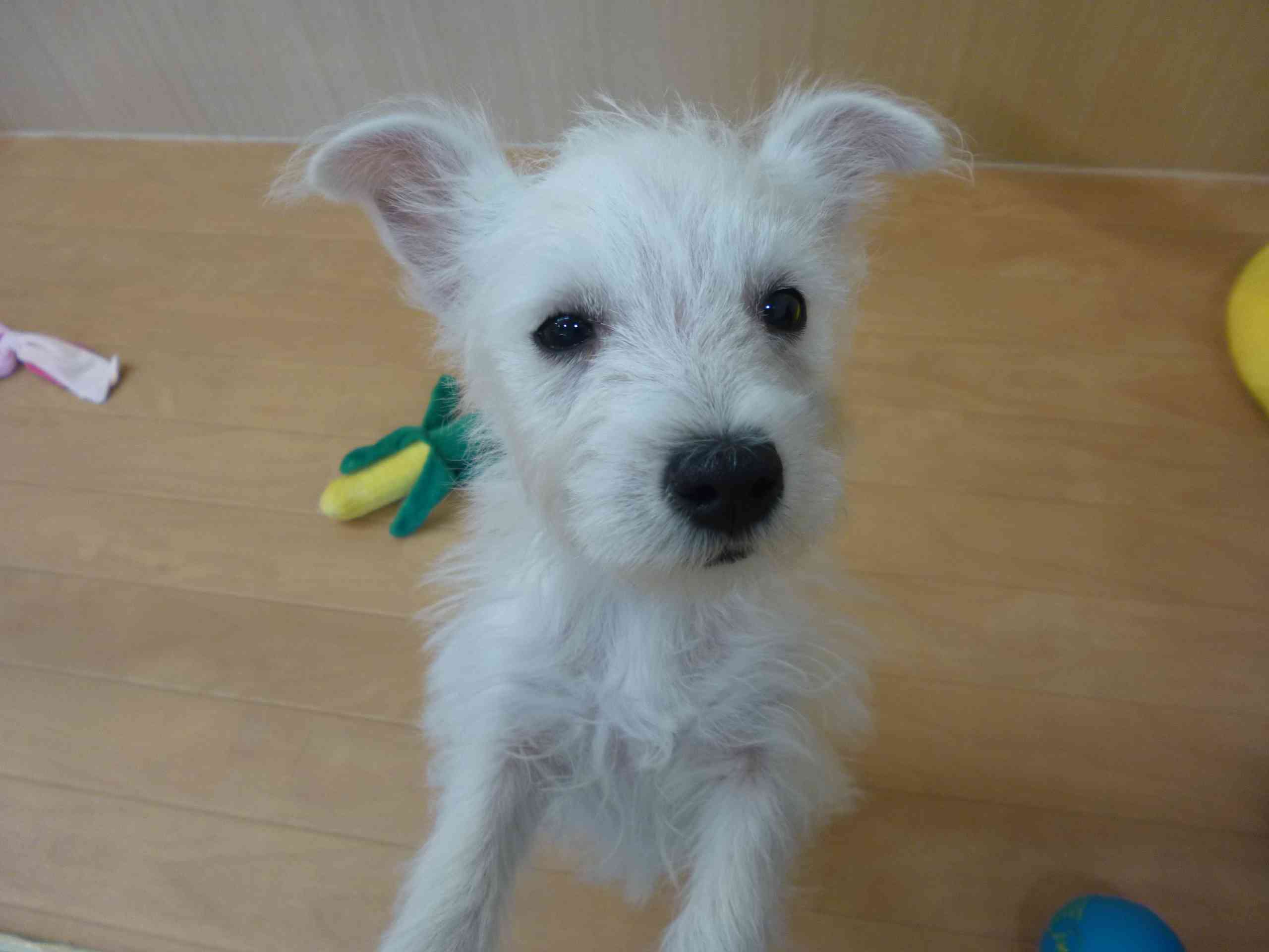 ☆あれ？！主役のうーちゃんは・・・？☆