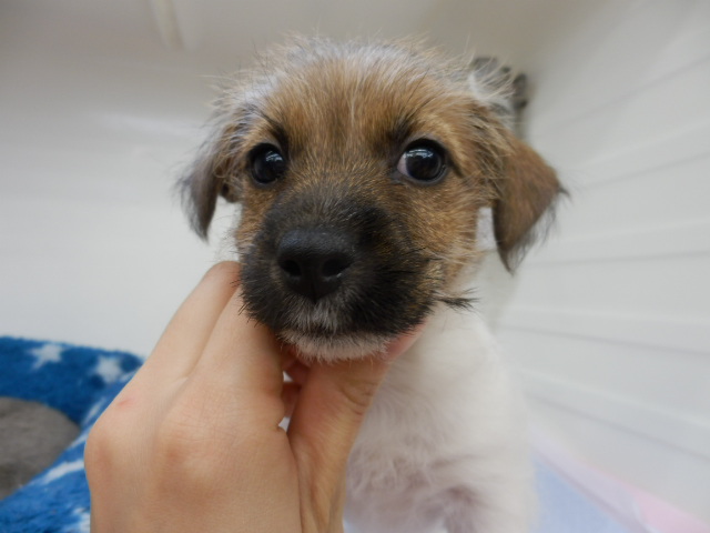 今日のこまめちゃん♪♪