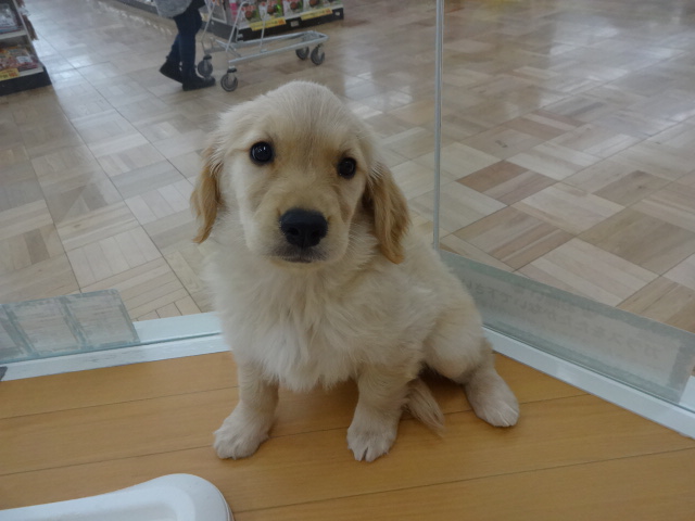 ☆　お家が決まったんだぁ～　☆