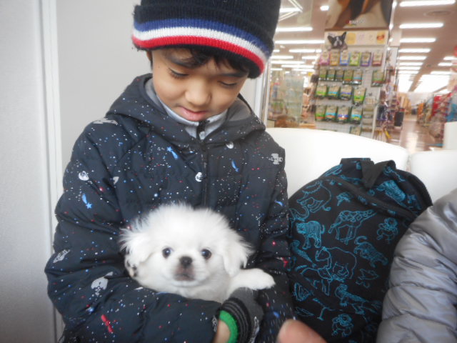 大福ちゃんおうち決まりました☆