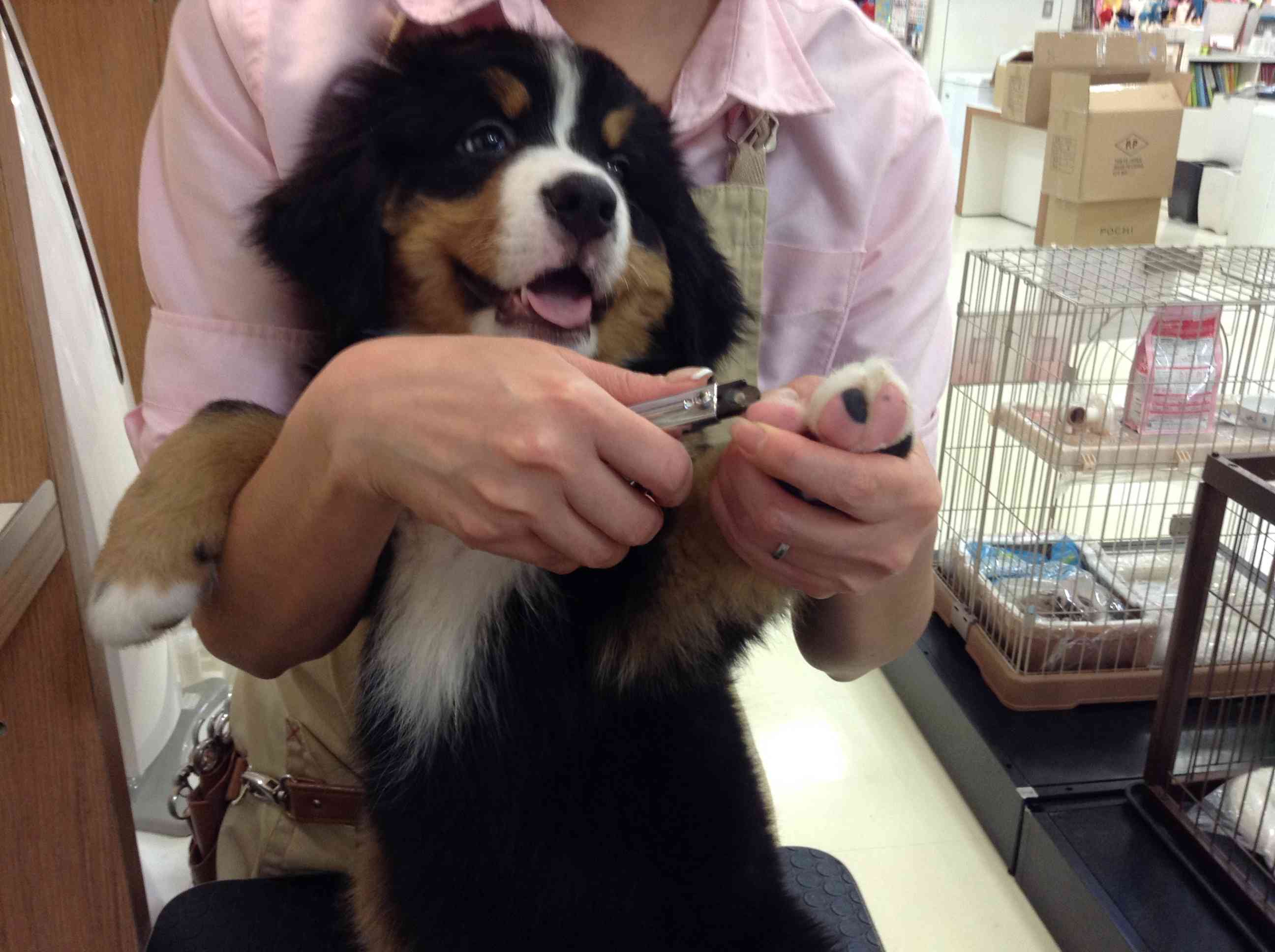 ☆ばにたんの初体験☆