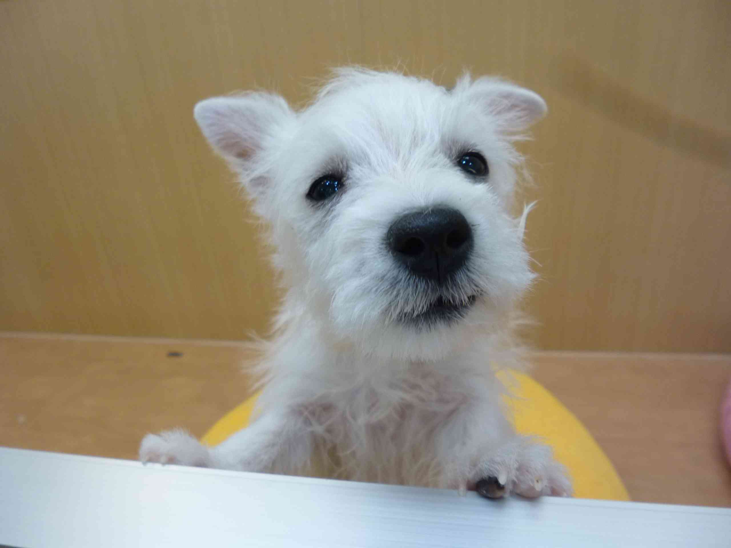 ☆うーちゃんお引っ越し☆