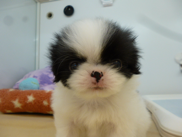 ☆似てる子発見？！☆