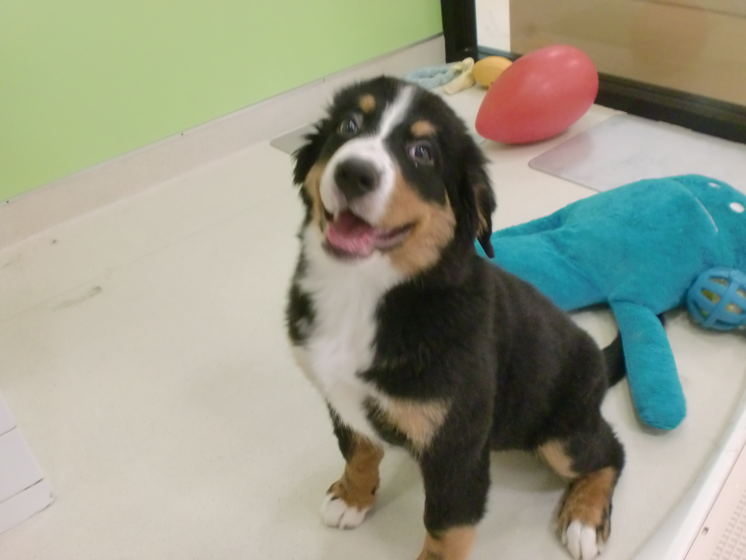 ☆ランチタイム☆