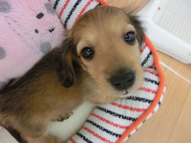 バトンタッチ！！！