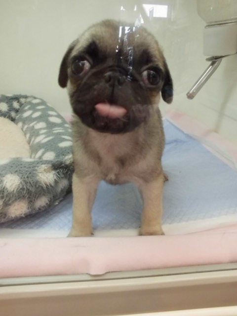 お待たせしました～～♪