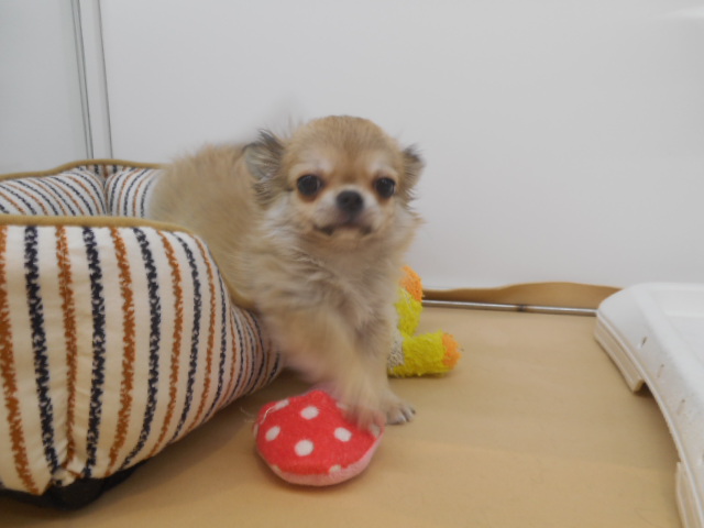 お知らせで～す☆☆