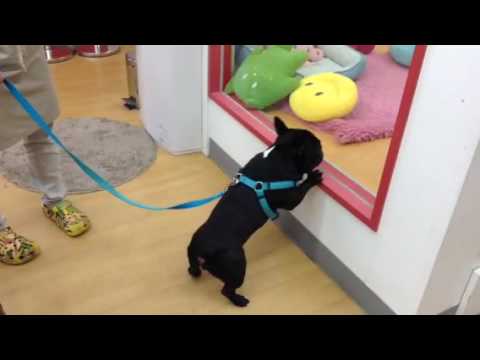 苫小牧大好きコルヴォ君♪