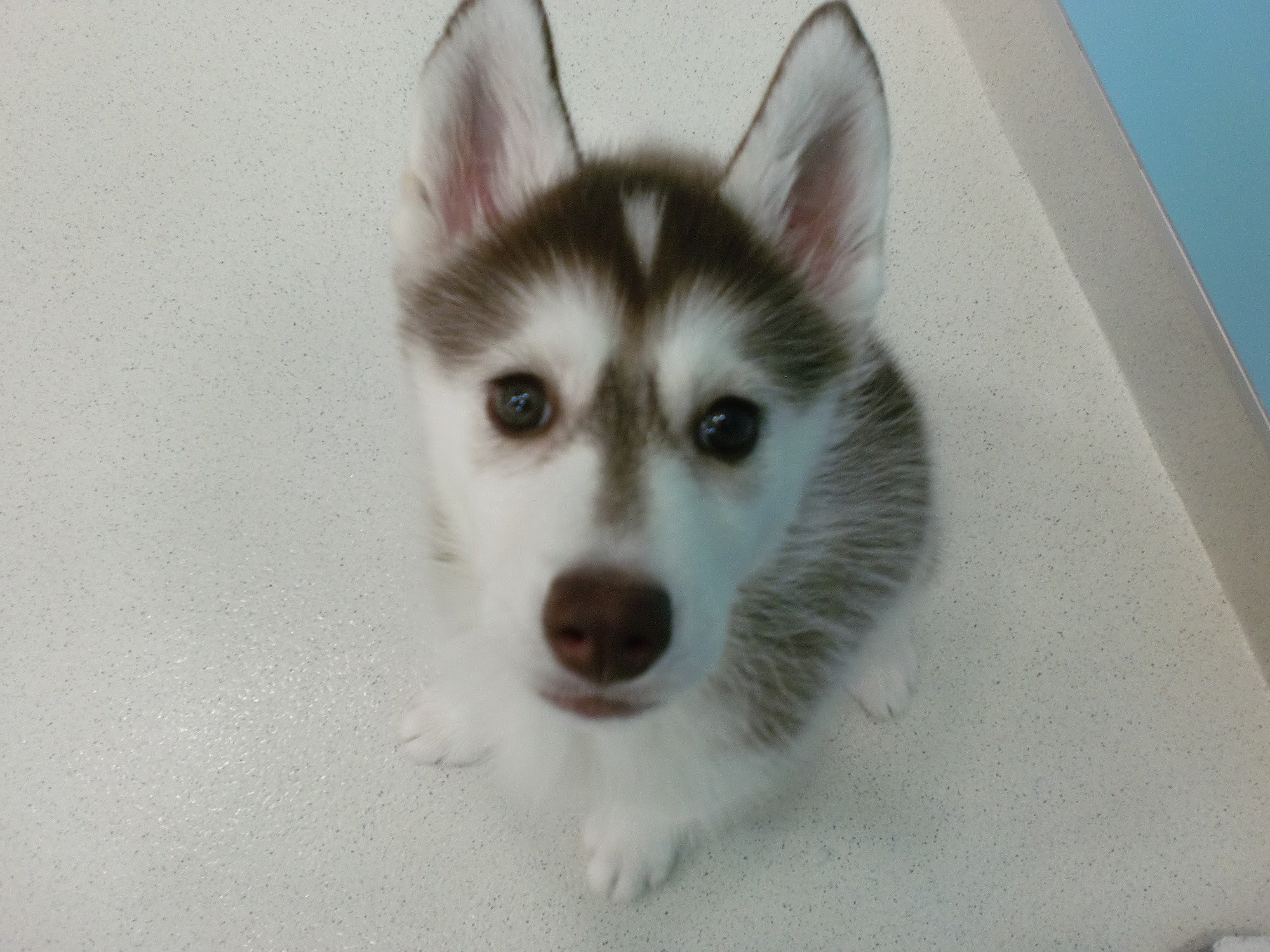 ☆はーちゃんは遊び好き☆