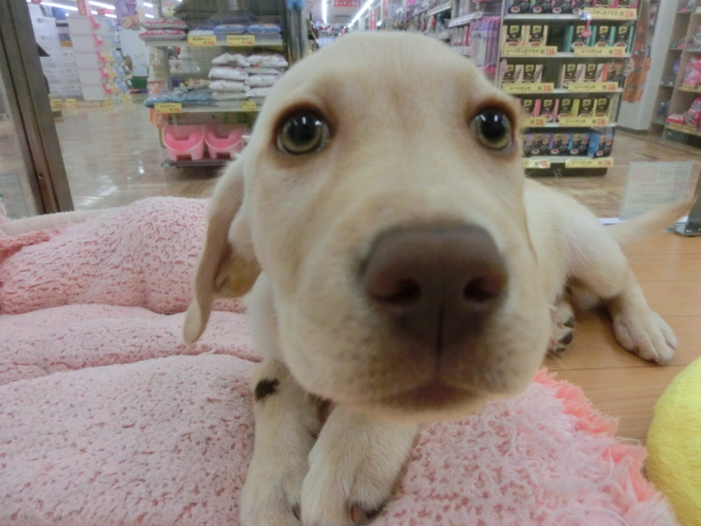 ☆お腹なでなで大好き☆