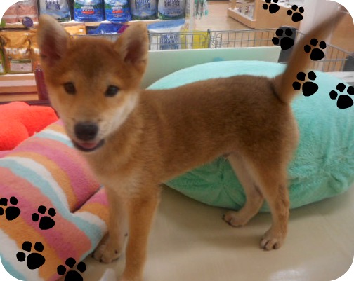 ☆ボクのお部屋☆