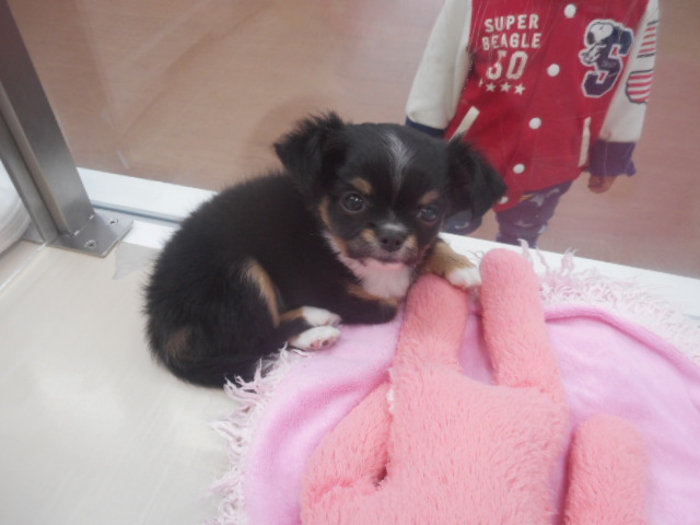 ❤嬉しいお知らせ❤