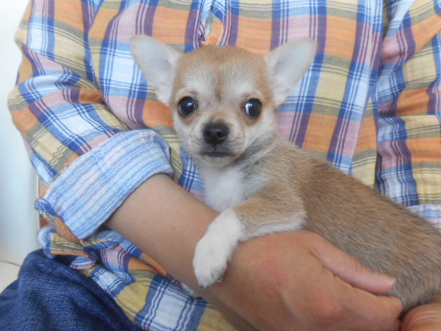 おうちがきまりました★