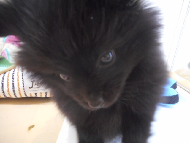 バトンターーーッチ！！