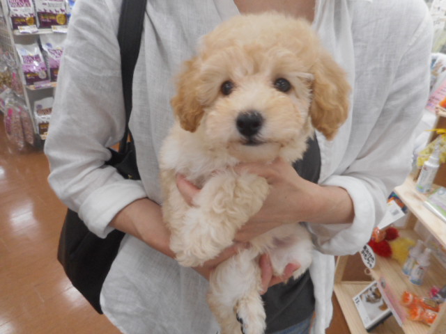 おうちが決まりました☆