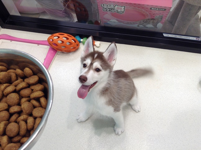 ☆ランチタイム☆