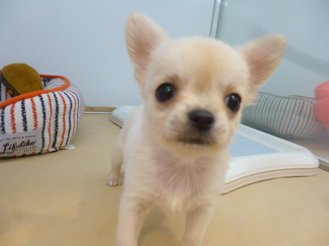 ☆ちっちの卒業☆