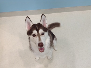 ☆はっちゃけ！！はーちゃん☆