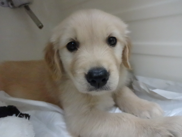 ☆　さらなるバトンタッチ！！　☆