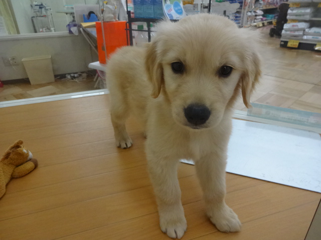 ☆　お部屋が変わりましたの巻　☆