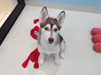 ☆おうちが決まりました☆