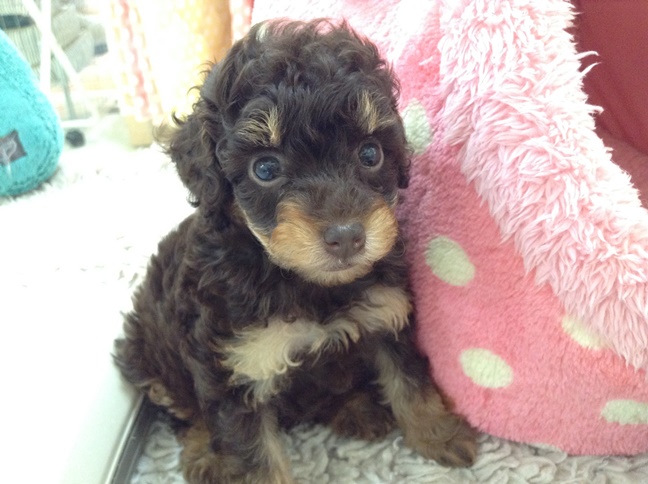 ☆はじめまして☆